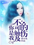 你是我不可觸及的傷