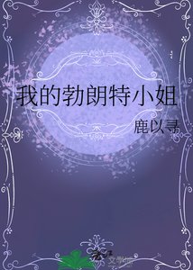 我的勃朗特小 姐