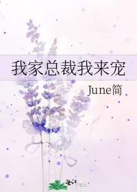 我家总裁我来宠